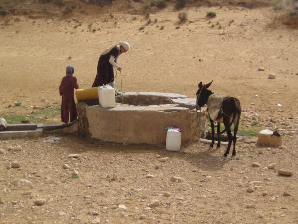 Tunisia Grande Sud - immagine 14