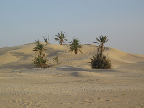 Tunisia Grande Sud - immagine 50